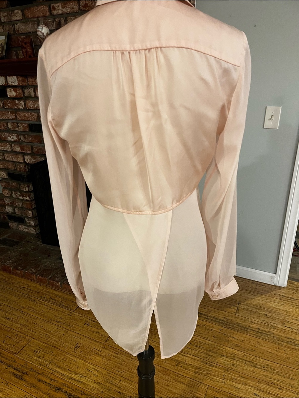 Free People ptp 19 Pink Sheer Button-Down Blouse - Picture 4 of 7